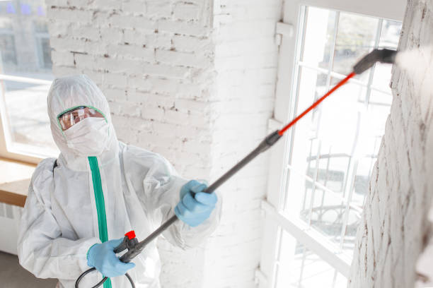 Gloucester, MA Mold Inspection, Removal & Remediation Company