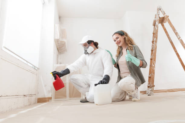 Mold Removal for HVAC Installations in Gloucester, MA